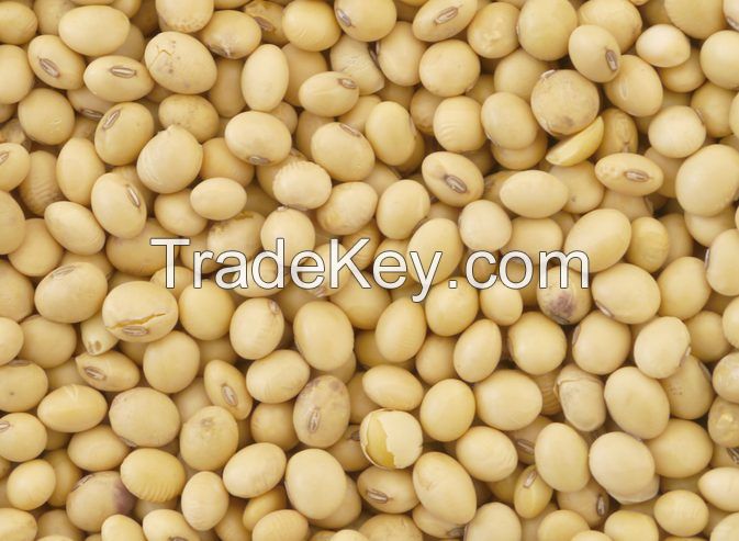 Soybeans