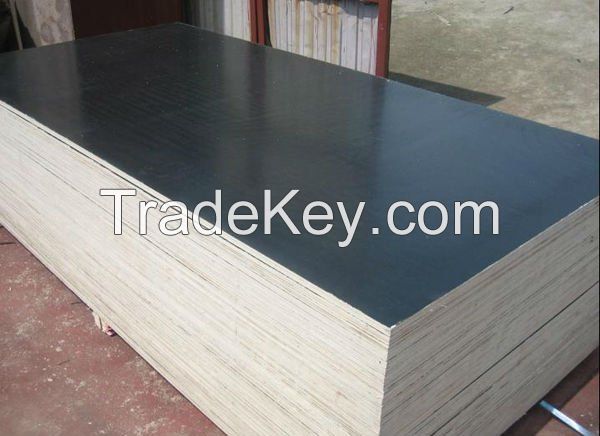 supply film faced plywood for construction