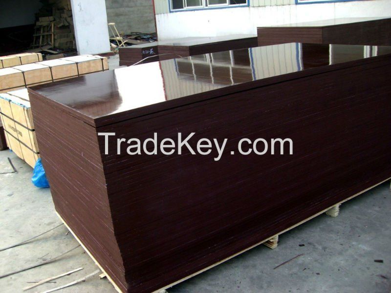 supply film faced plywood for construction