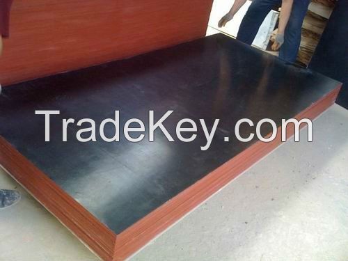 supply film faced plywood of concrete