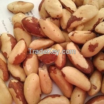 Brazil Nuts