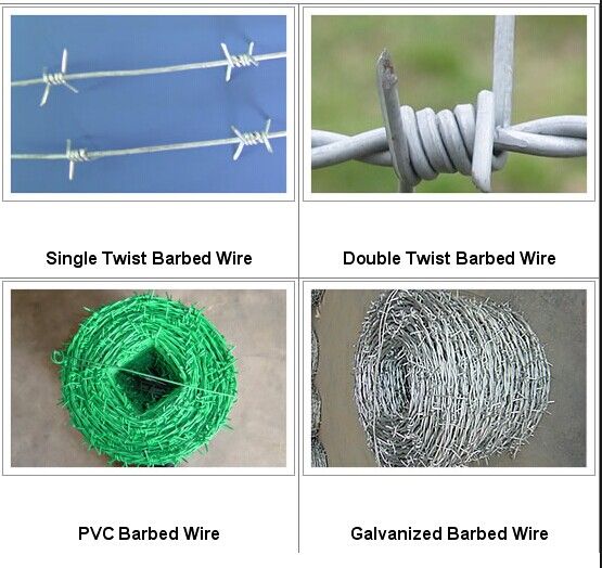 Barbed Wire