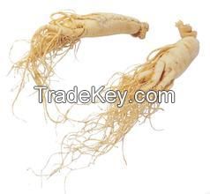 Sell Ginseng processing- TRIOWIN in Shanghai