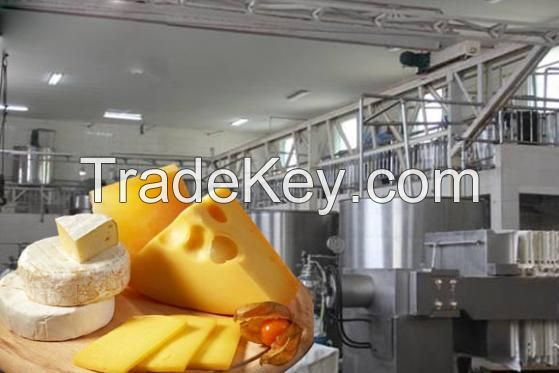 Sell Cheese production line-TRIOWIN in Shanghai