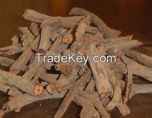 Madder Root Supplier from Pakistan