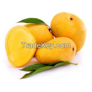 Exporter of fresh Mangos from Pakistan