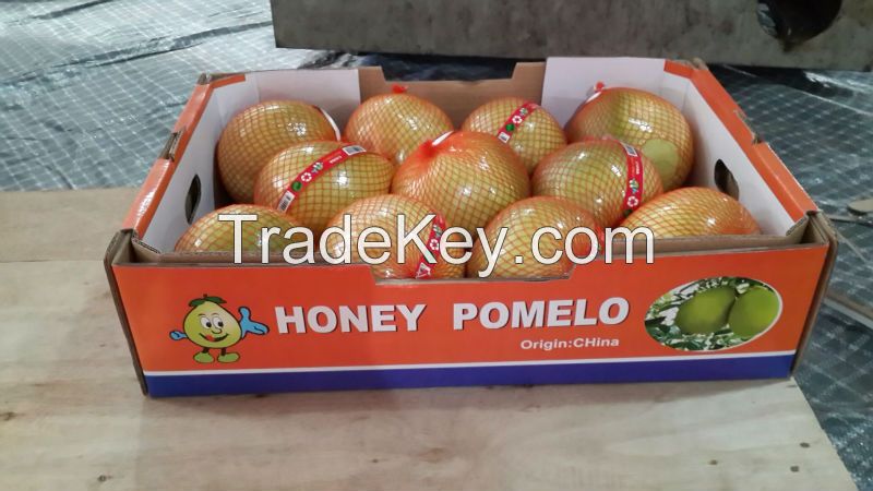 A Grape Honey Pomelo, Chinese Grapefruit