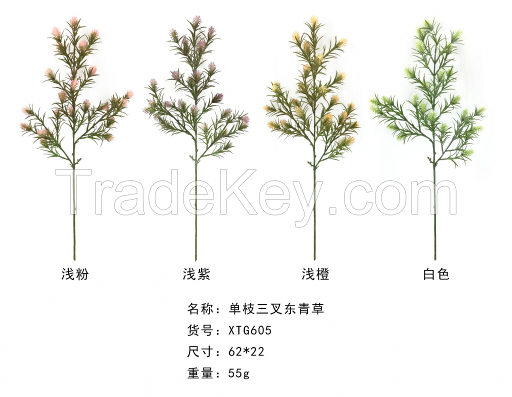 Single Stem 3 Branches Dongqing Grass