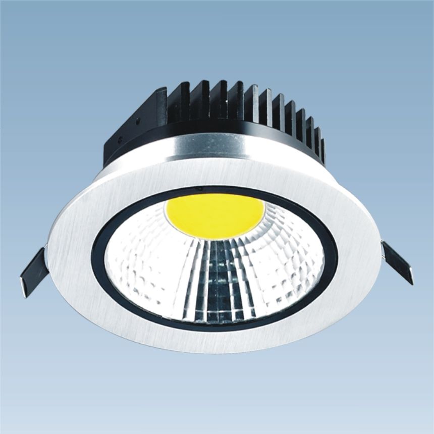 LED Ceiling Light