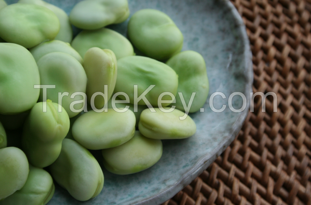 Broad Beans