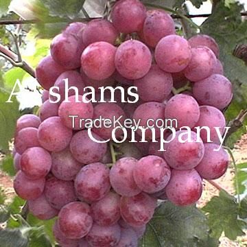 we offer fresh grapes