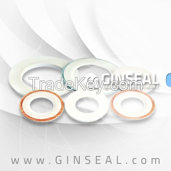 PTFE envelop gasket