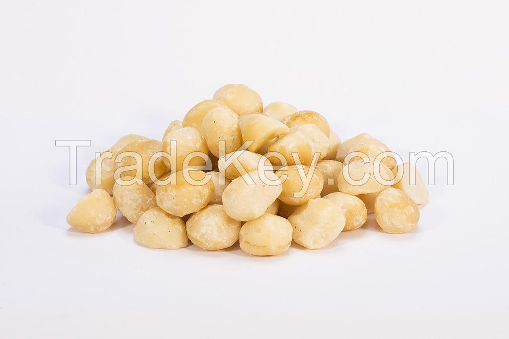 Raw Macadamia Nut Kernel