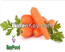 Carrot