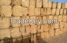 wheat straw hay bale, cattle feed straw hay bale, animal filler straw hay bale