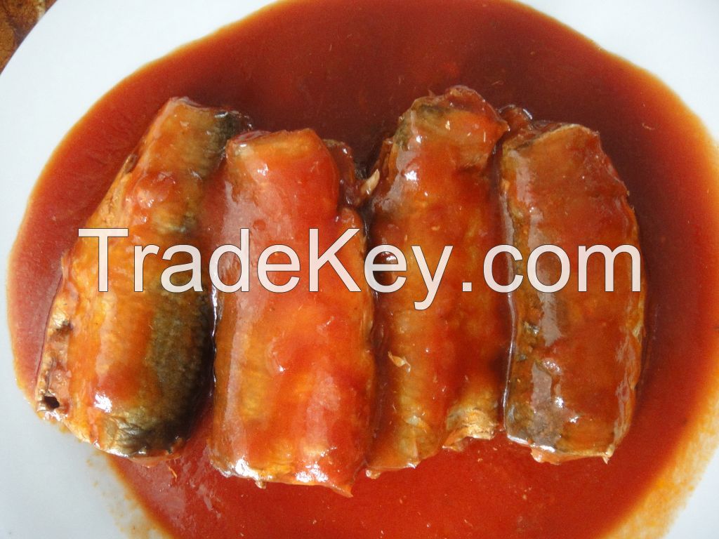 CANNED MACKEREL IN TOMATO SAUCE 425GX24