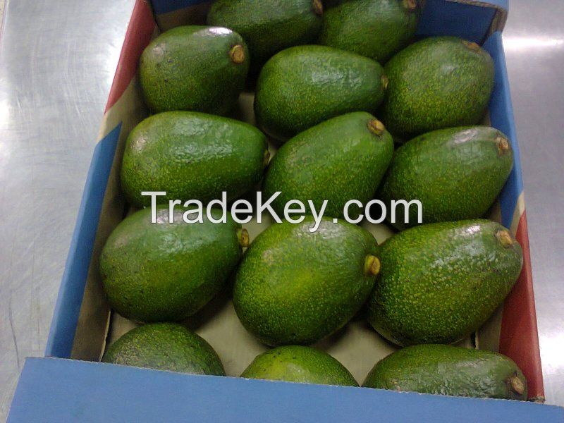 SALE: Fresh Avocados in season from Kenya