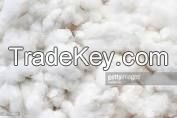 PAKISTAN RAW COTTON NEW CROP.