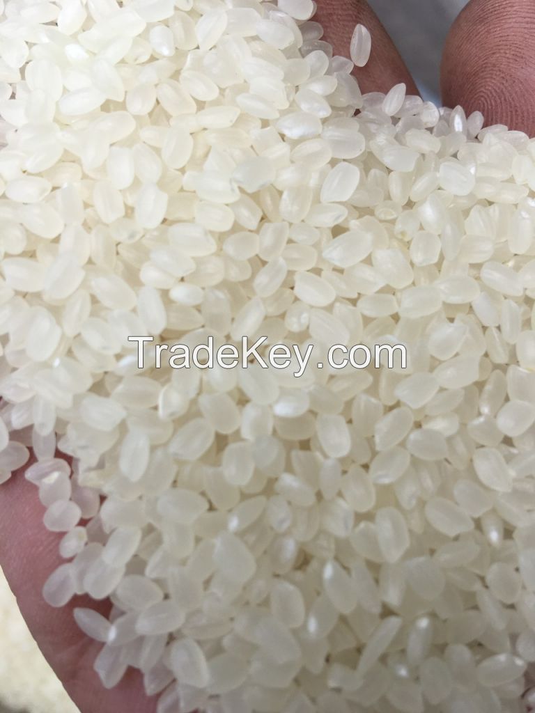 Round Japonica Rice