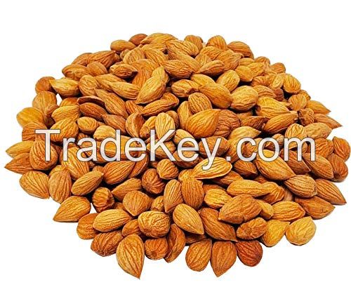 Apricot Kernels