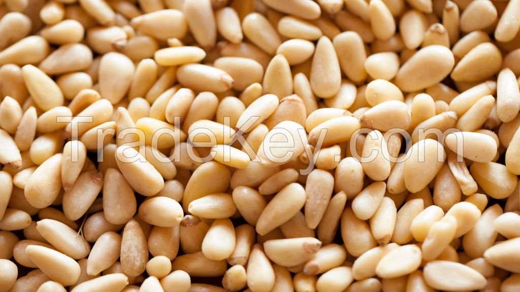 Pine Nuts