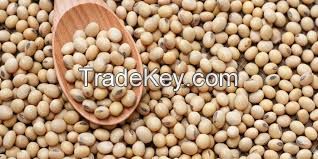 Soybeans