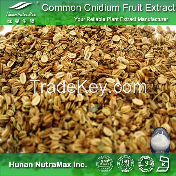 Manufacturer Common Cnidium Fruit Extract Osthole