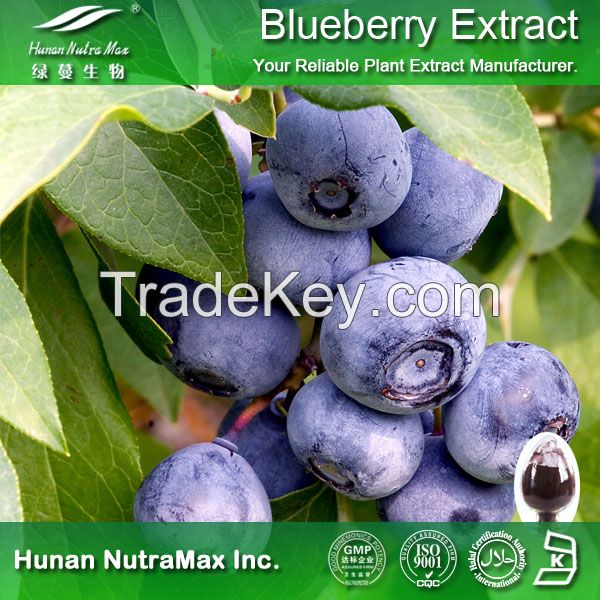 Blueberry Extract Powder Anthocyanidins