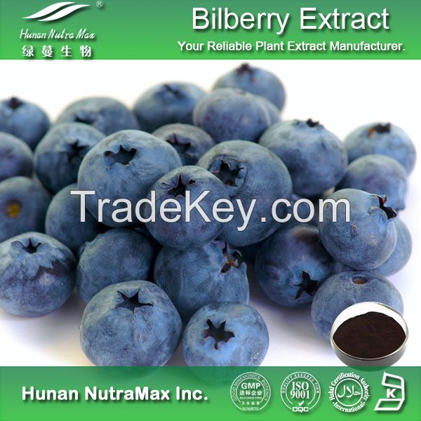 European Bilberry Extract Anthocyanidins