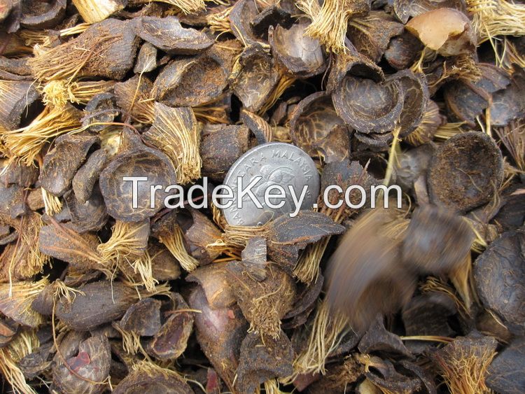 Palm Kernel Shell