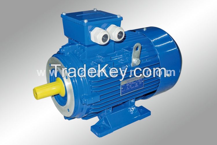 IE1 Standard Efficiency Three Phase AC Motors