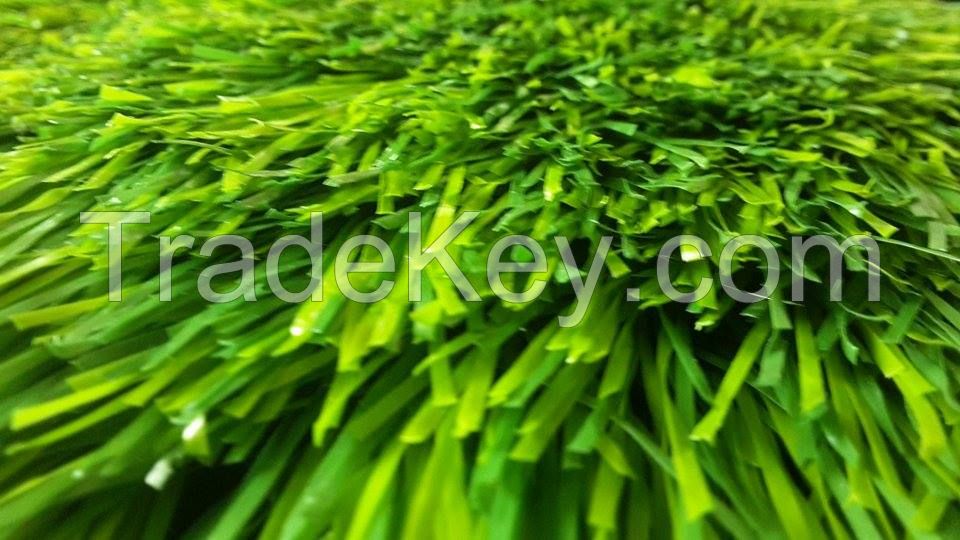 MONOFLAMENT ARTIFICIAL TURF