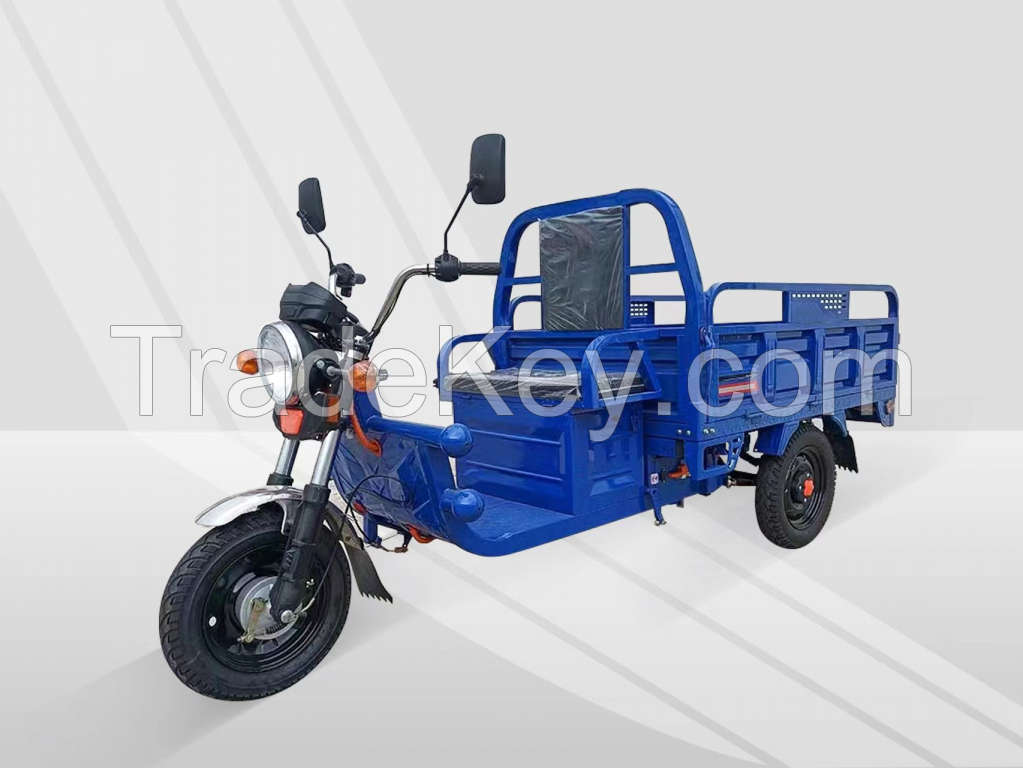 Electric tricycle