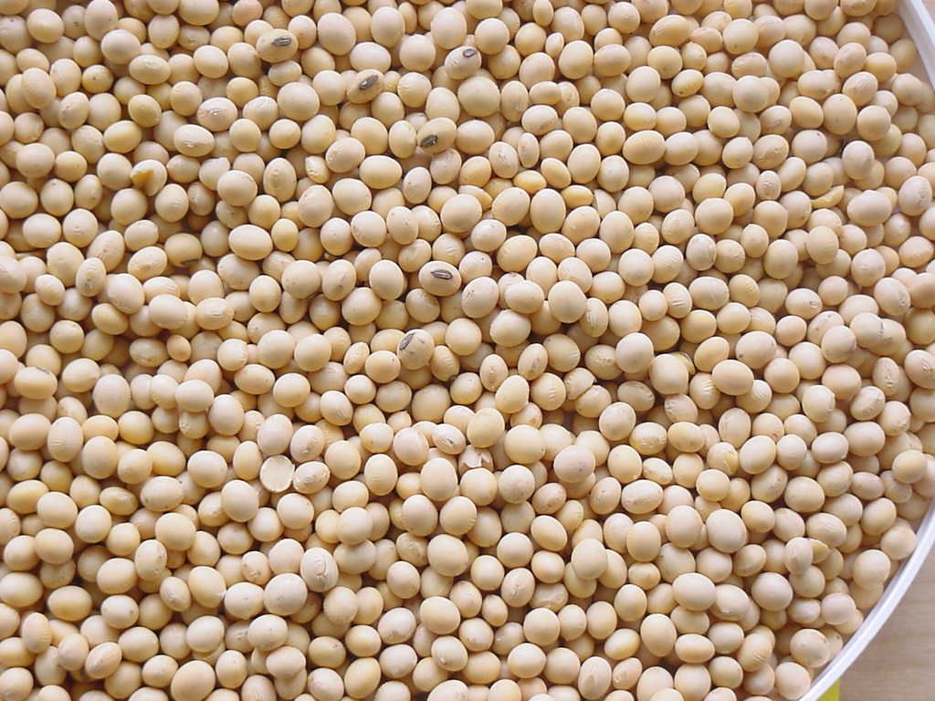 Soybeans