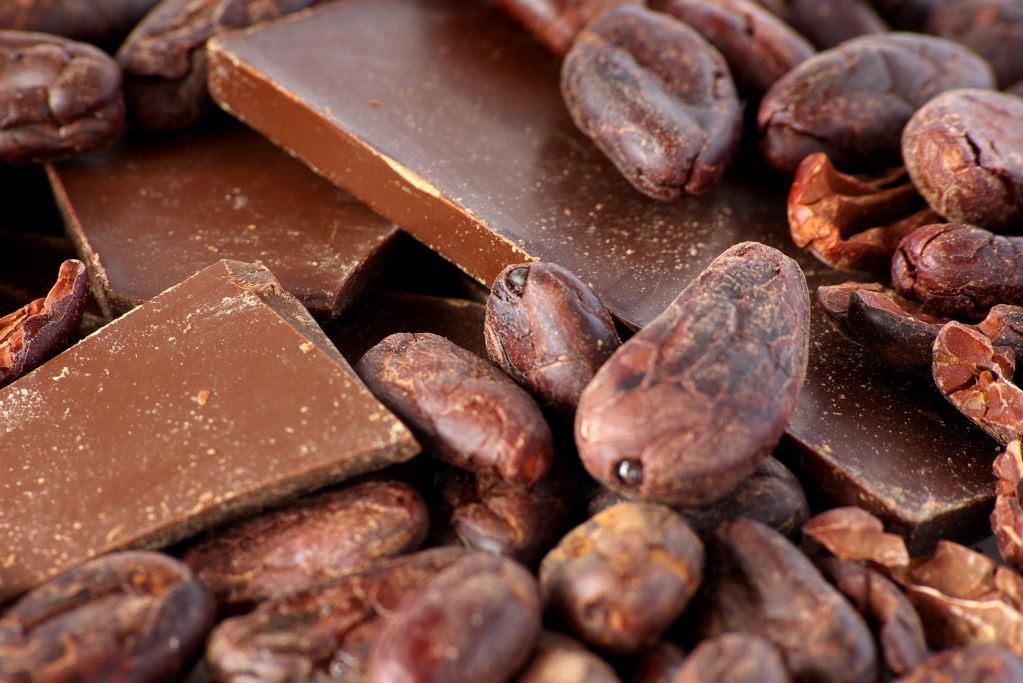 Cocoa beans