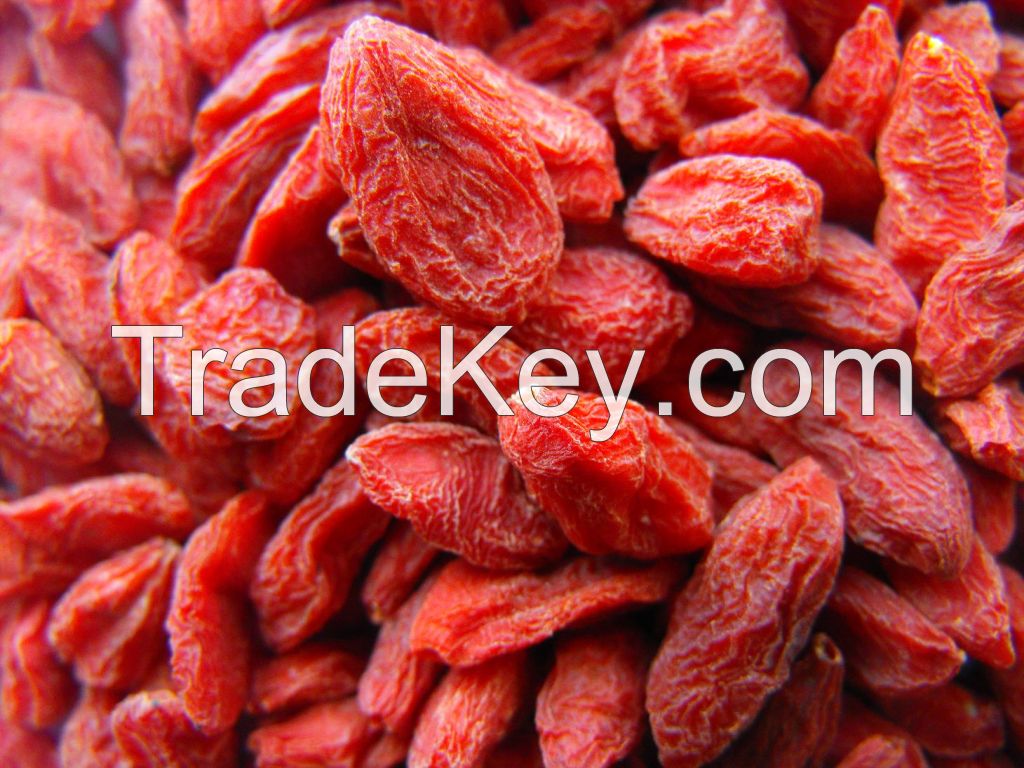 Goji Berries, Organic Raw Cacao Goji Energy Squares