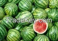 Top Grade Fresh Watermelon