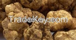 Truffle White Truffle Black Truffle