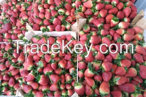 Fresh Strawberry