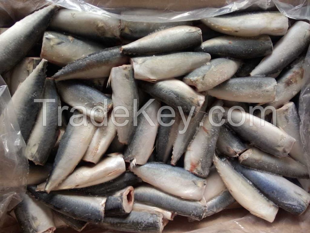 Head off tail off gutted pacific mackerel HGT