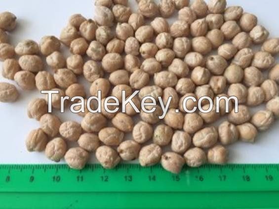 Chickpeas