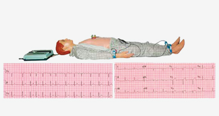 ECG Simulated Manikin