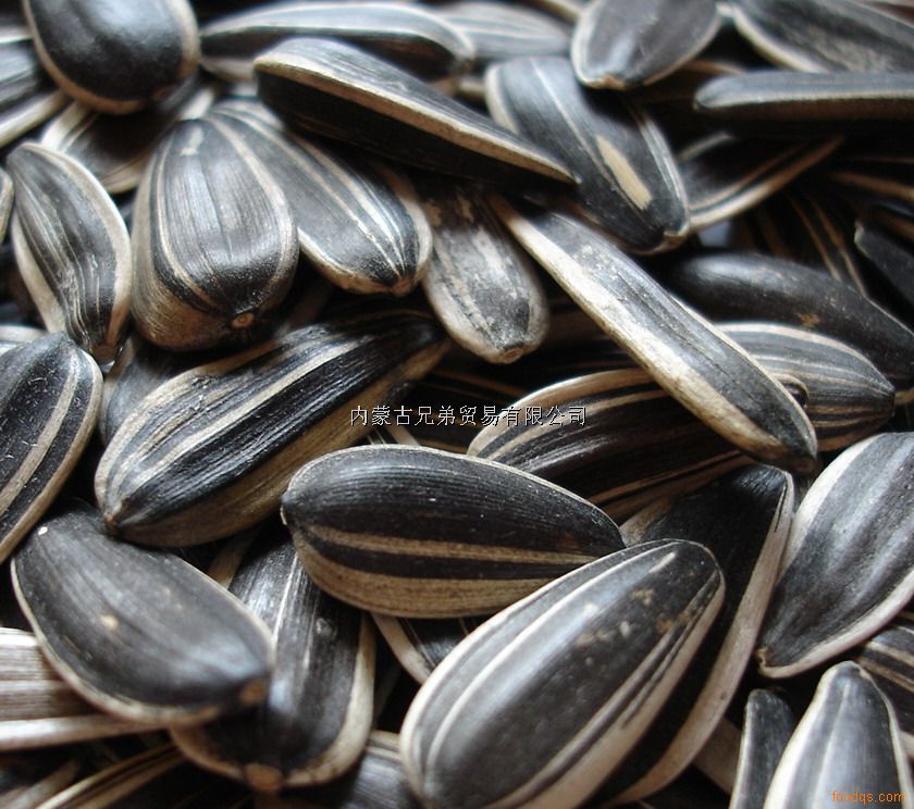 Sell  Black Sunflower Seeds