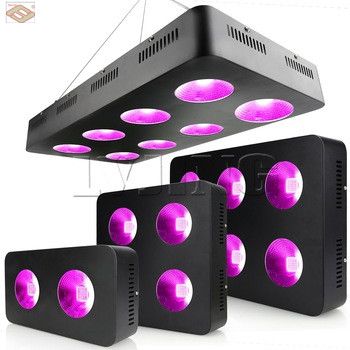 2020 600W 1200W 1800W 2400W COB LED grow light