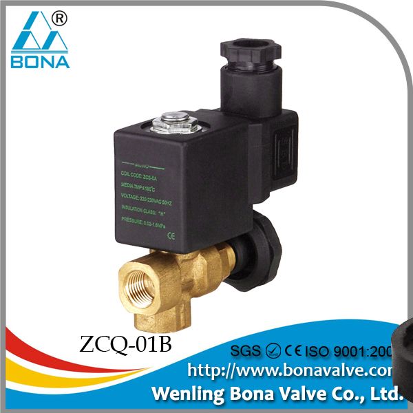 Steam Iron Solenoid Valve(ZCQ-01B)