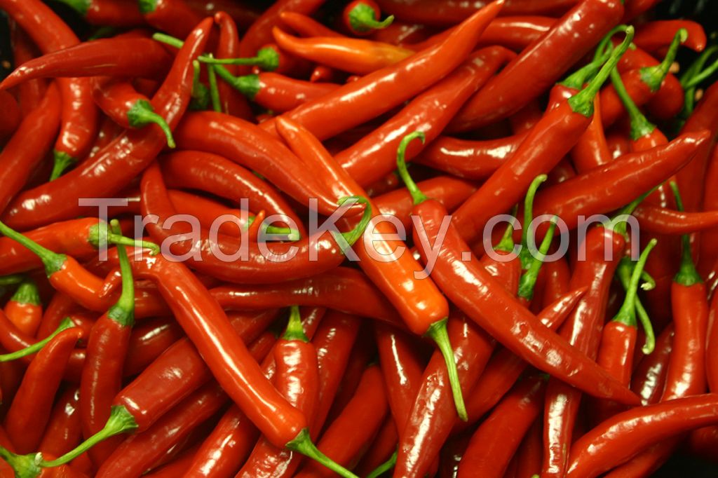 fresh chilies