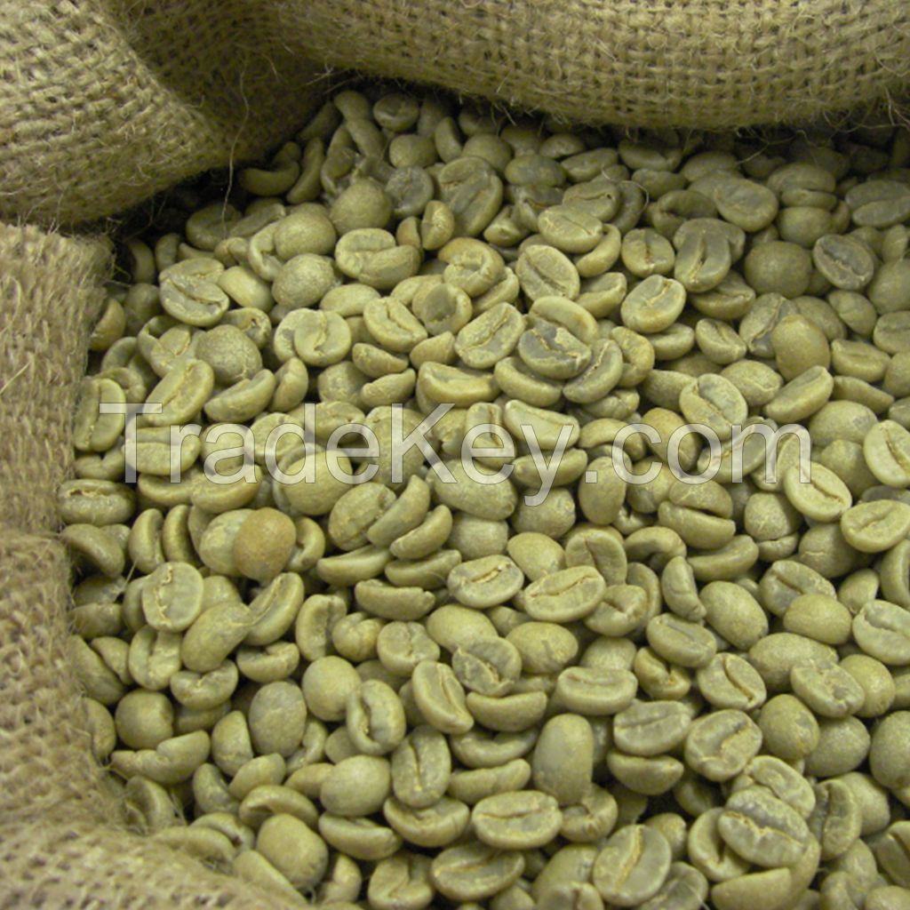 ROBUSTA GREEN COFFEE