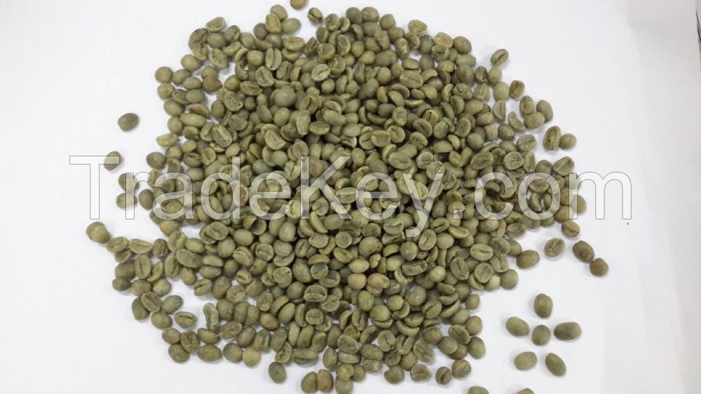 Robusta Green Coffee Beans