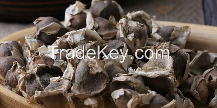 Dried Moringa Seeds