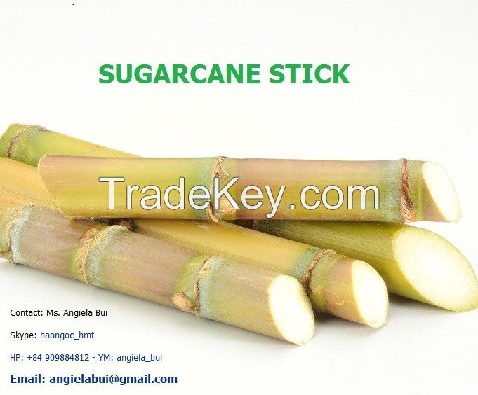 FROZEN SUGAR CANE STICK, SUGAR CANE JUICE